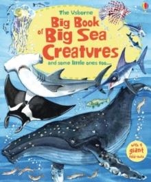 BIG BOOK OF SEA CREATURES | 9781474921015 | MINNA LACEY