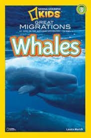 WHALES | 9781426307454 | LAURA MARSH