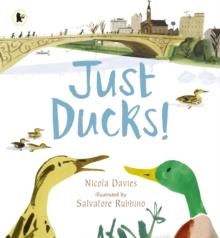 JUST DUCKS! | 9781406367034 | NICOLA DAVIES