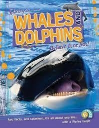WHALES AND DOLPHINS | 9781609911140 | RIPLEY BELIEVE IT OR NOT