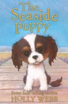 THE SEASIDE PUPPY | 9781847156525 | HOLLY WEBB