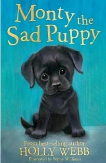 MONTY THE SAD PUPPY | 9781847157737 | HOLLY WEBB