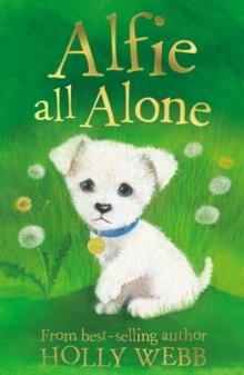 ALFIE ALL ALONE | 9781847150158 | HOLLY WEBB