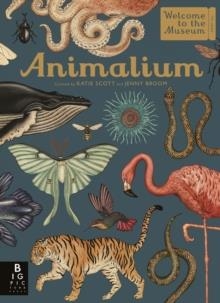 ANIMALIUM (HB) | 9781787411647 | JENNY BROOM