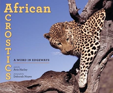 AFRICAN ACOSTICS | 9780763658182 | AVIS HARLEY