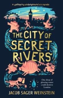 THE CITY OF SECRET RIVERS | 9781406378382 | JACOB SAGER
