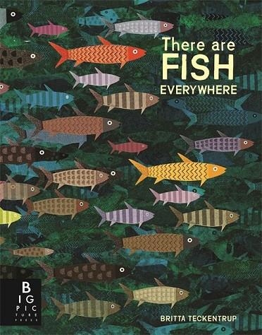 THERE ARE FISH EVERYWHERE | 9781787410763 | BRITTA TECKENTRUP