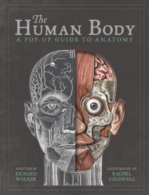 THE HUMAN BODY | 9781787410589 | RICHARD WALKER