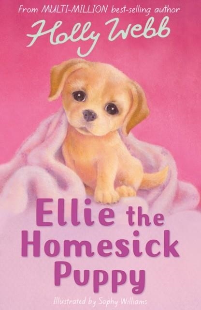ELLIE AND THE HOMESICK PUPPY | 9781847151131 | HOLLY WEBB