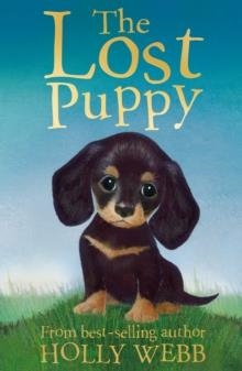 THE LOST PUPPY | 9781847152244 | HOLLY WEBB