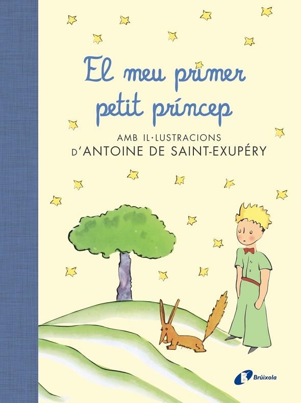 EL MEU PRIMER PETIT PRÍNCEP | 9788499067704 | VV.AA.