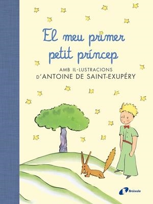 EL MEU PRIMER PETIT PRÍNCEP | 9788499067704 | VV.AA.