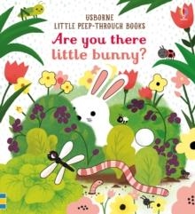 ARE YOU THERE LITTLE BUNNY? | 9781474945547 | SAM TAPLIN