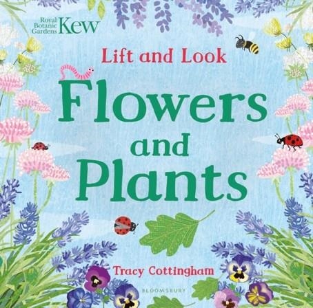 KEW: LIFT AND LOOK FLOWERS AND PLANTS | 9781408889824 | TRACY COTTINGHAM