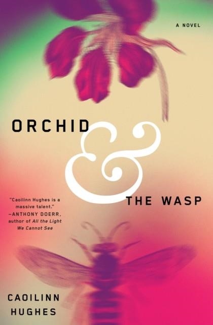 ORCHID AND THE WASP | 9780525575931 | CAOILINN HUGHES