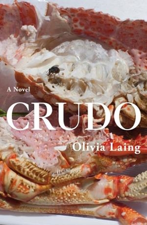 CRUDO: LOVE IN THE APOCALYPSE | 9781509892839 | OLIVIA LAING