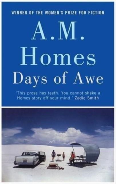 DAYS OF AWE | 9781783784820 | A M HOMES