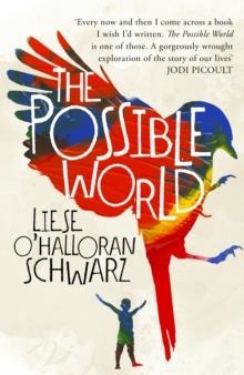 THE POSSIBLE WORLD | 9781786331199 | LIESE O HALLORAN SCHWARZ