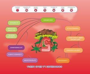PROYECTO EXPLORA MERCADO MEDIEVAL (NIVEL 3) 18 | 9788491076964 | Menéndez Camarena, Pilar;Domínguez Caballero, Susana;Moreno Becerril, Maria del Val