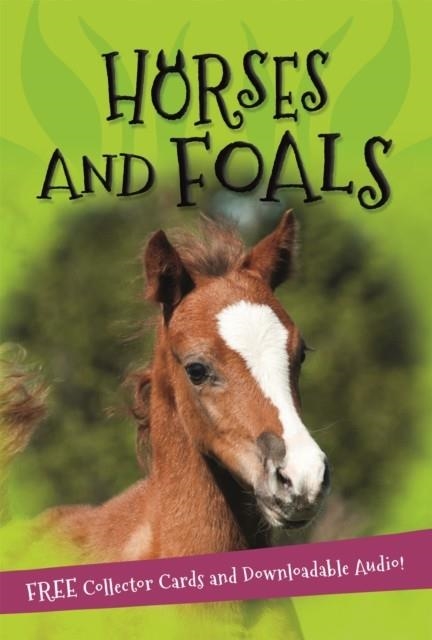 IT'S ALL ABOUT... HORSES AND FOALS | 9780753442524 | KINGFISHER