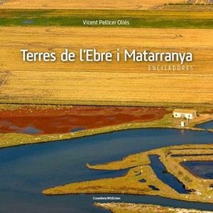 Terres de l'Ebre i Matarranya | 9788490345467 | Pellicer Ollés, Vicent