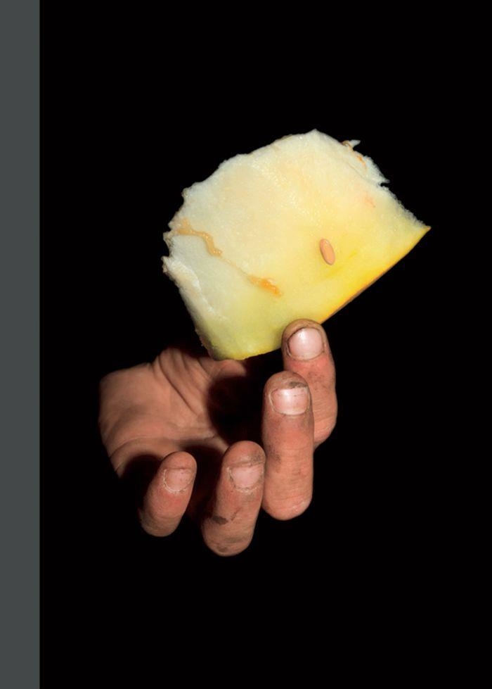Melones de hiel | 9788498018332 | Golovchenko, Kirill