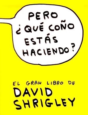 Pero, ¿qué coño estás haciendo? | 9788493874520 | Shrigley, David