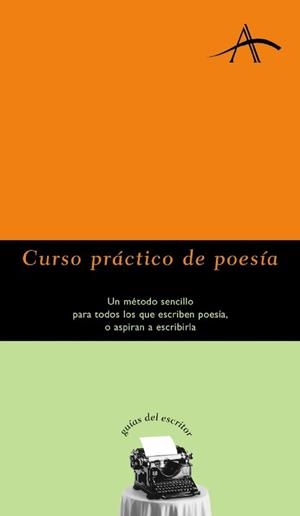 Curso práctico de poesía | 9788484280101 | Chisholm, Alison