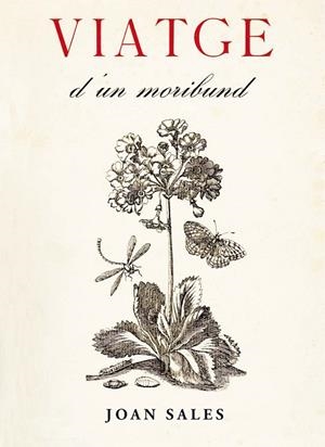 Viatge d'un moribund | 9788473291736 | Sales, Joan