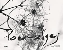 Poematges | 9788416965250 | Boada Juncà, Martí;Romanillos Vidaña, Teresa;Rodríguez Fischer, Cristina