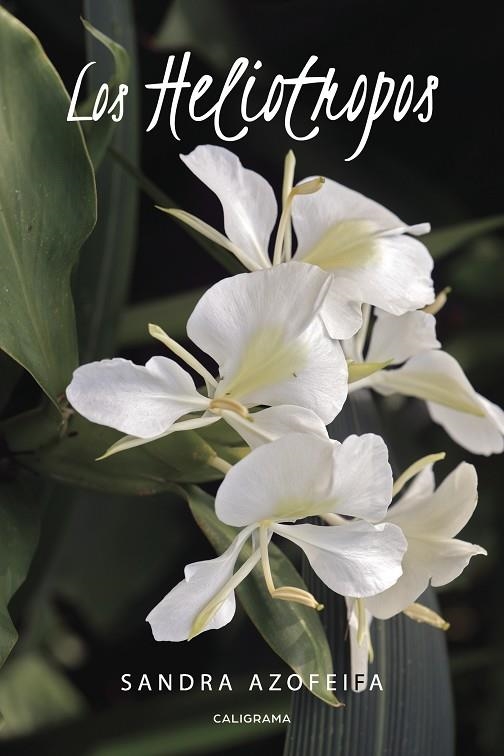 Los Heliotropos | 9788417120542 | Azofeifa, Sandra