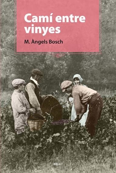 Camí entre vinyes | 9788496905924 | Bosch Castelló, M. Àngels
