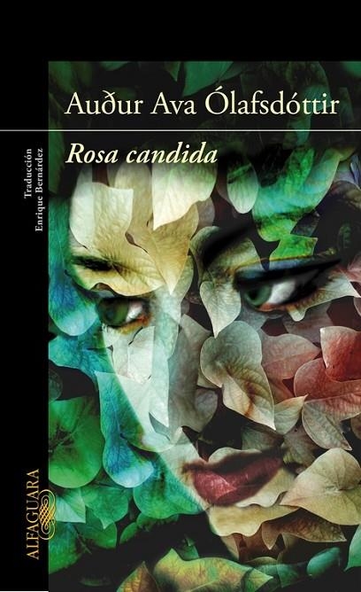 Rosa candida | 9788420407913 | Ólafsdóttir, Auður Ava