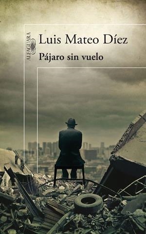 Pájaro sin vuelo | 9788420474984 | Luis Mateo Díez