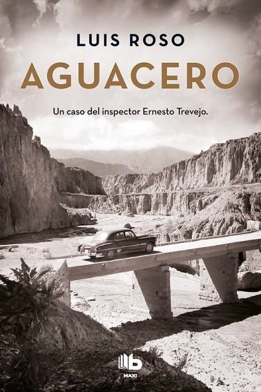 Aguacero (Inspector Trevejo 1) | 9788490704363 | Roso, Luis
