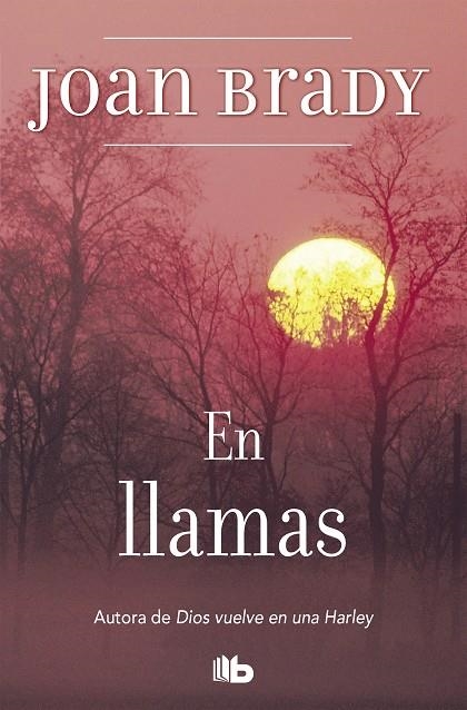 En llamas | 9788496581098 | Brady, Joan