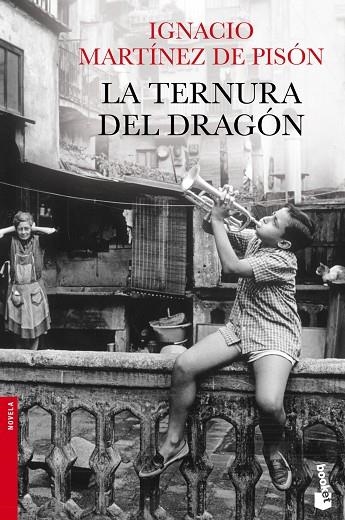 La ternura del dragón | 9788432250989 | Martínez de Pisón, Ignacio