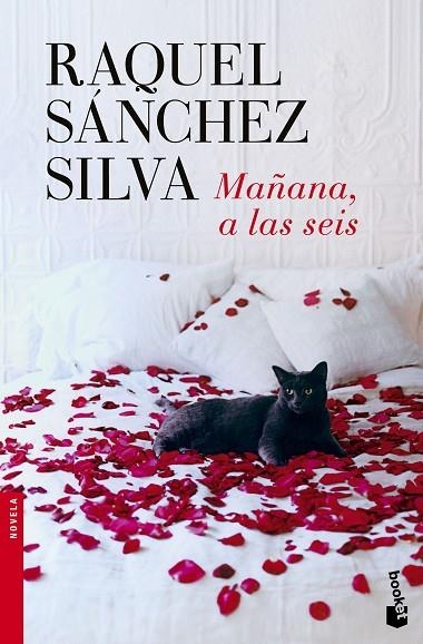 Mañana, a las seis | 9788408140498 | Sánchez Silva, Raquel