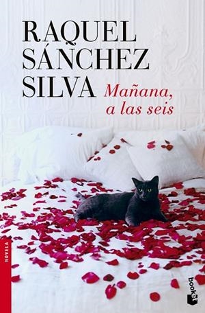 Mañana, a las seis | 9788408140498 | Sánchez Silva, Raquel