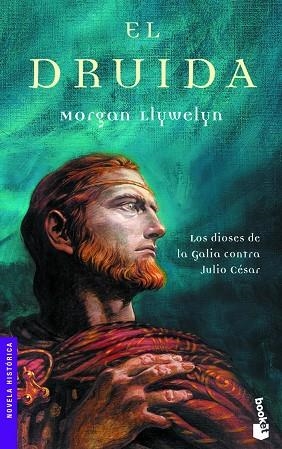 El druida | 9788427033627 | Llywelyn, Morgan