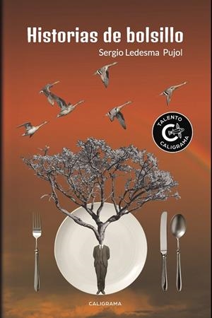 Historias de bolsillo | 9788417335847 | Ledesma  Pujol, Sergio