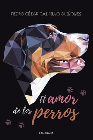 El amor de los perros | 9788417335793 | Castillo Quiñones, Pedro César
