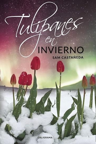Tulipanes en invierno | 9788417382124 | Castañeda, Sam