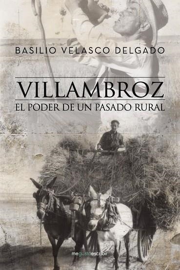 Villambroz | 9788491127697 | Velasco Delgado, Basilio