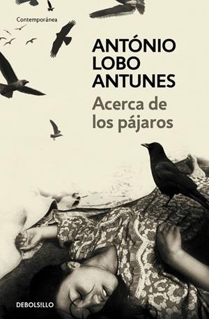 Acerca de los pájaros | 9788483469163 | Lobo Antunes, António