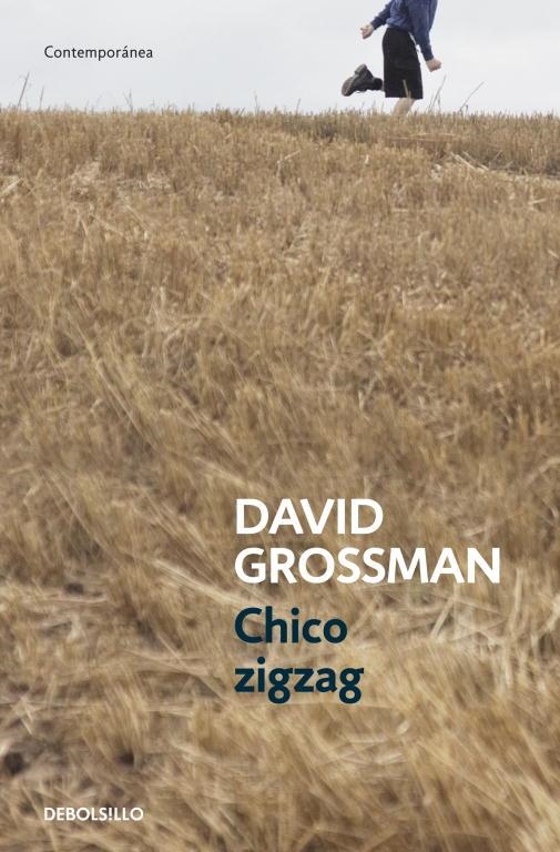 Chico zigzag | 9788499894805 | David Grossman