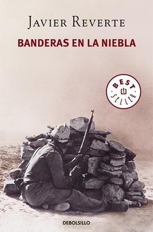 Banderas en la niebla | 9788466343848 | Reverte, Javier