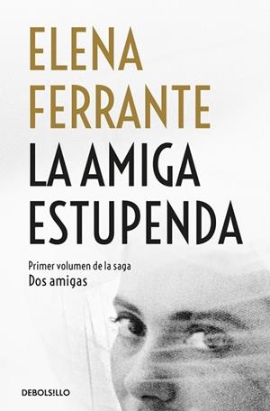 La amiga estupenda (Dos amigas 1) | 9788466344357 | ELENA FERRANTE