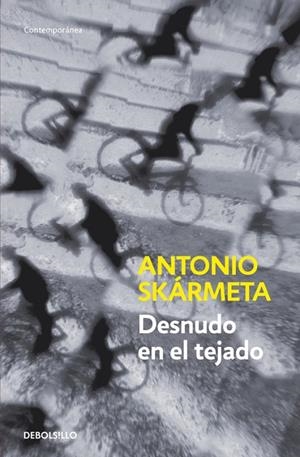 Desnudo en el tejado | 9788497931205 | Antonio Skármeta