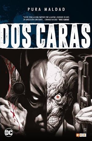 Pura maldad: Dos caras | 9788417243364 | Varios autores